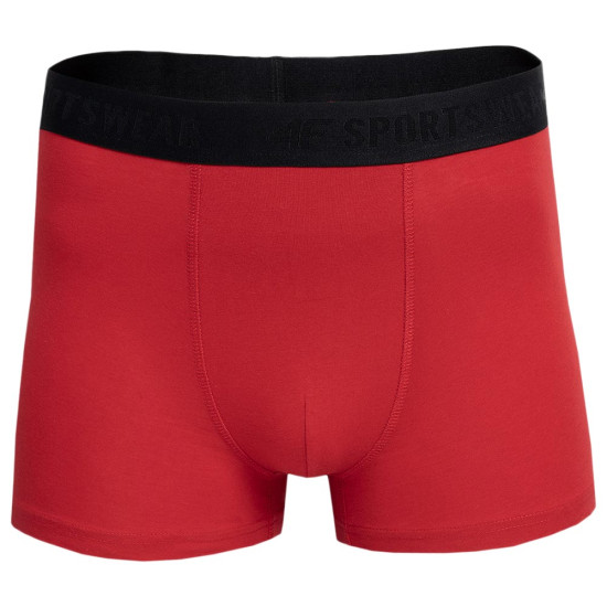 4F Ανδρικό εσώρουχο boxer 2-Pack